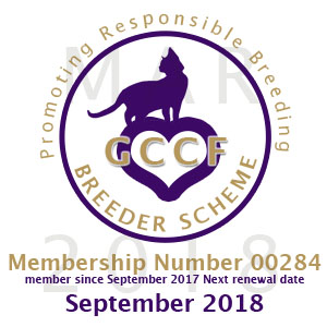 Delighted to receive today our GCCF Breeder Scheme Logo